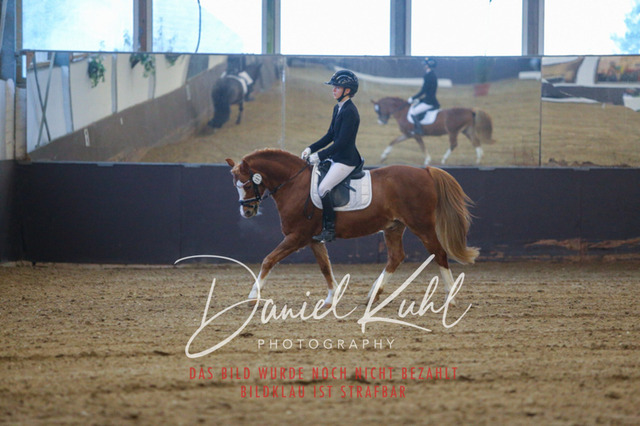 IMG_8229 | Turniersportfotografie; Pferdefotografie; Dressurfotografie