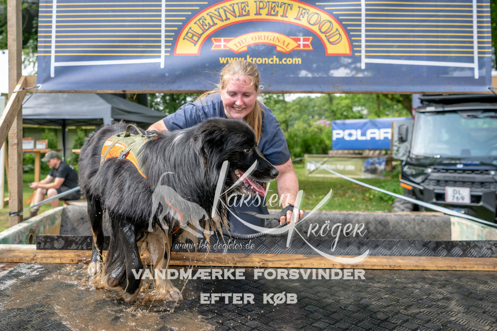 1050_ZZ91869 | kk-dogfotos