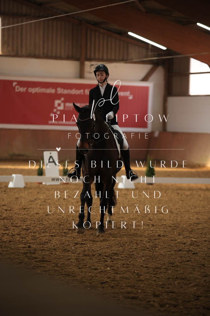 IMGT7478 | pl-fotografie