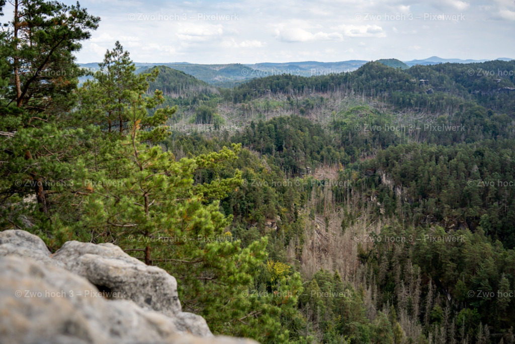 Rosssteig_Goldsteinaussicht_Thorwalder_Waende_Waldsterben | 2022-08-30_Waldbrandgebiete_1 - Realisiert mit Pictrs.com