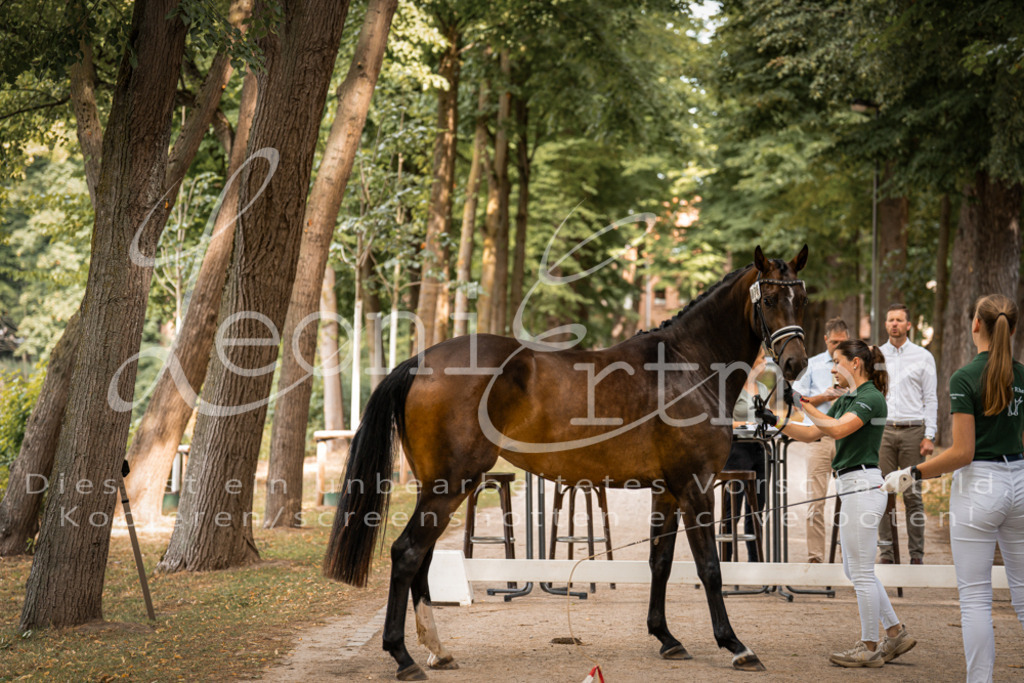 FrPfM00045 | Leoni Ertmer Photography - Realisiert mit Pictrs.com