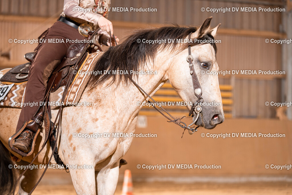 Losheim Tag 2-322 | dv-media-shop - Realisiert mit Pictrs.com