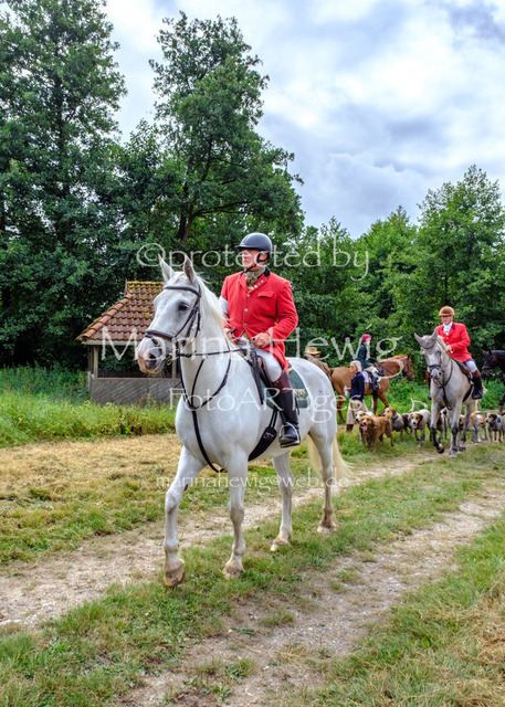 Jagd Knoop 26_MarinaHewigDSCF8777 | Fotografie, FotoArt, PferdesportArt, Pferdesportfotografie, Landschaftsfotografie, Reisefotografie, Reise, Pferde - Realisiert mit Pictrs.com