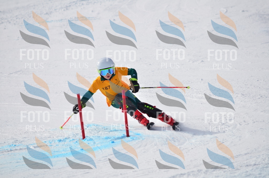 C8035 | holidayphoto