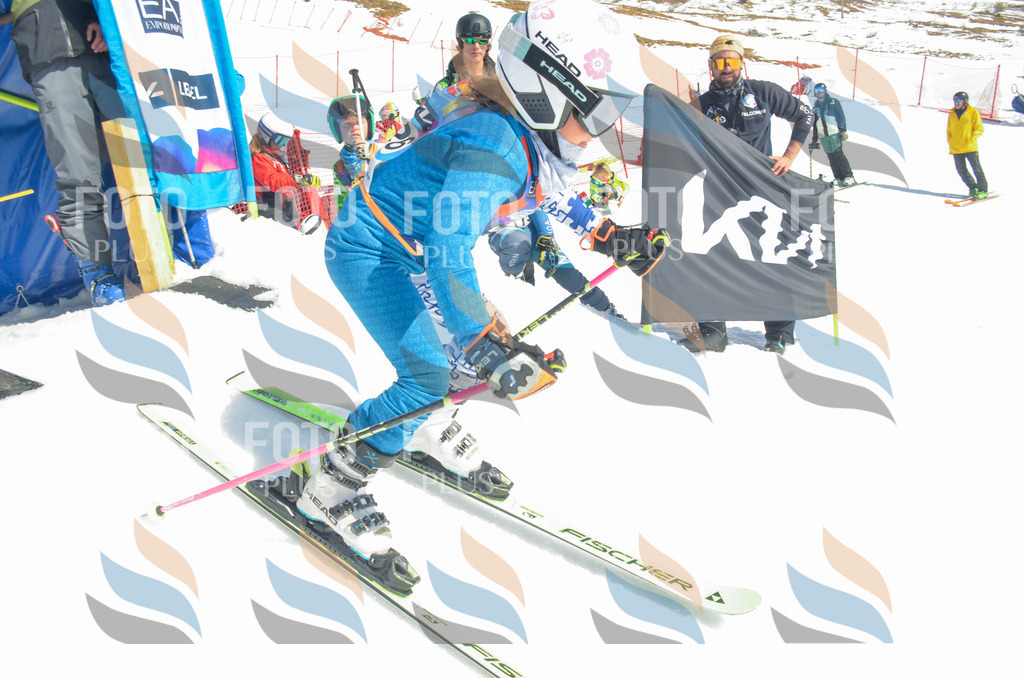 _ELE6070 | holidayphoto