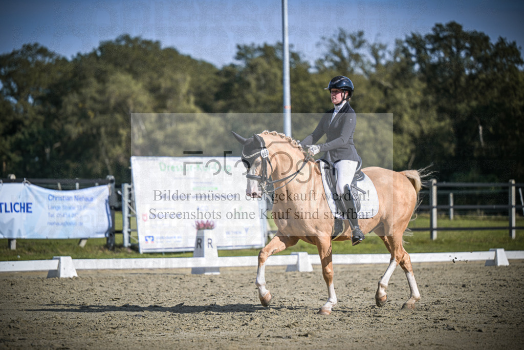 DOS_2070 | Entdecke hochwertige Reitturnierfotos von Foto Oger. Professionell, emotional und authentisch – jetzt Lieblingsmomente im Shop bestellen.Deutschlandweite Turnierfotografie. - Realisiert mit Pictrs.com