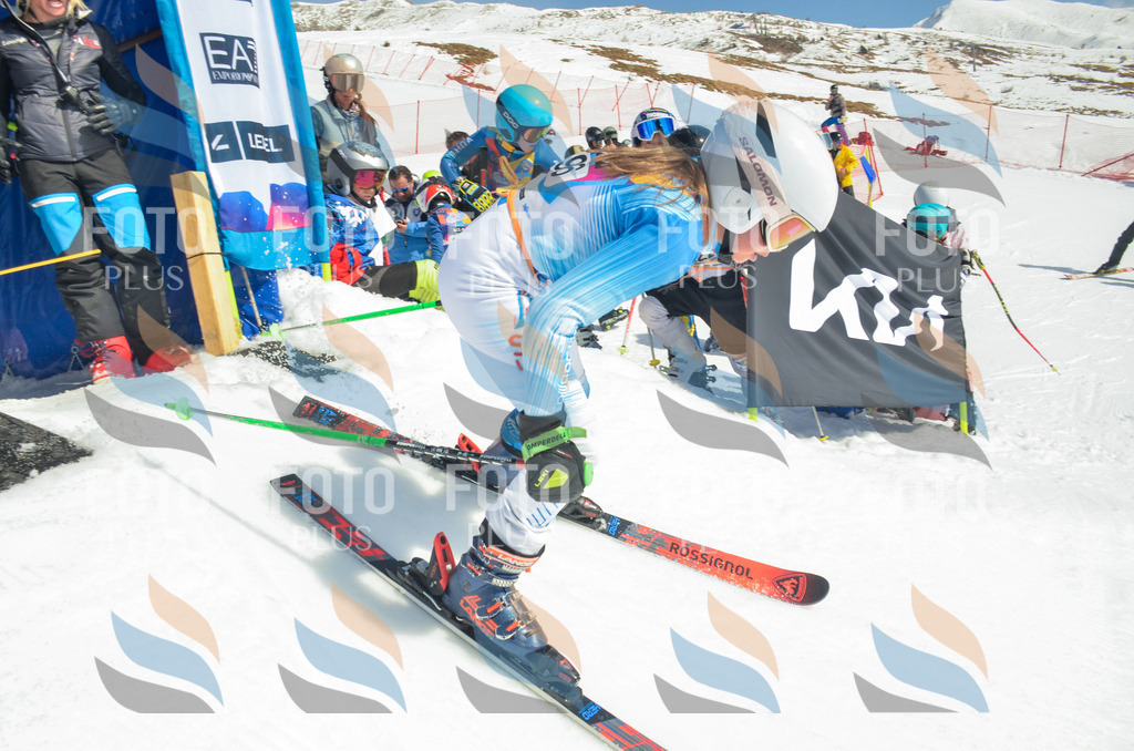 _ELE5734 | holidayphoto