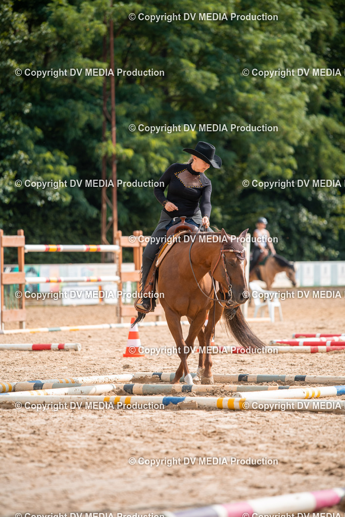 ZS2_7638 | dv-media-shop - Realisiert mit Pictrs.com