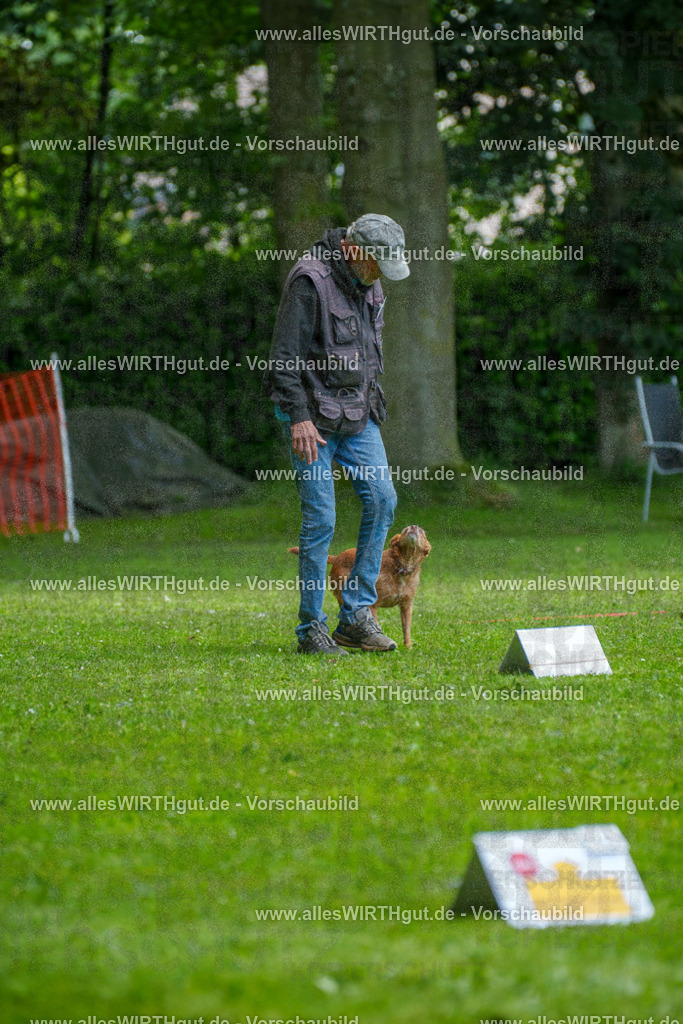 @allesWIRTHgut_Tierfotografie - www.allesWIRTHgut.de - 7R504126 | Professionelle Tierfotografie in Mönchengladbach von Daniel Wirth (allesWIRTHgut). Liebevolle & natürliche Bilder von Hunden & Katzen für unvergessliche Erinnerungen.