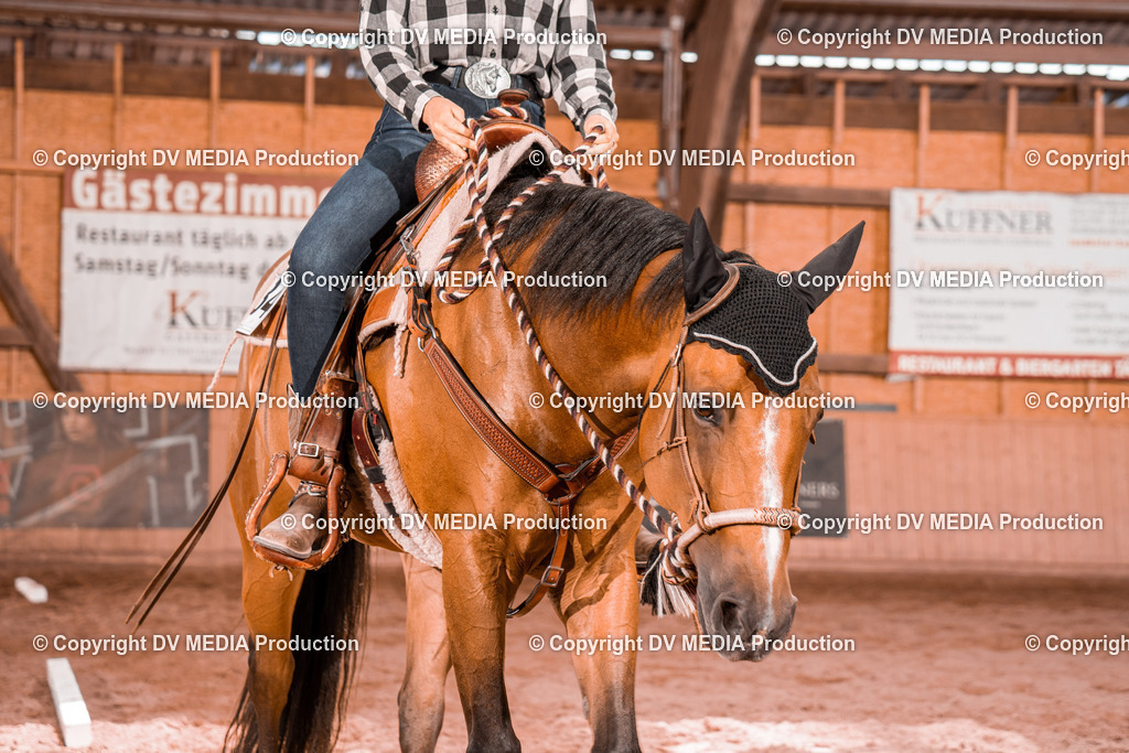 NE200704 | dv-media-shop - Realisiert mit Pictrs.com