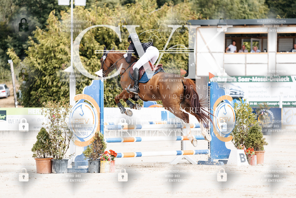 CK908881 | Turnierfotografie Pferdefotografie Trier Rheinland-Pfalz Pferdesport Reitsport Tierfotografie Sportfotografie Pferdevideo Pferdevideografie Equestrianvideography equestrianphotography  - Realisiert mit Pictrs.com
