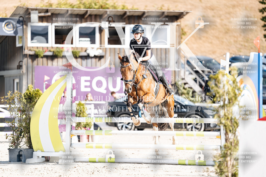 CK909373 | Turnierfotografie Pferdefotografie Trier Rheinland-Pfalz Pferdesport Reitsport Tierfotografie Sportfotografie Pferdevideo Pferdevideografie Equestrianvideography equestrianphotography  - Realisiert mit Pictrs.com