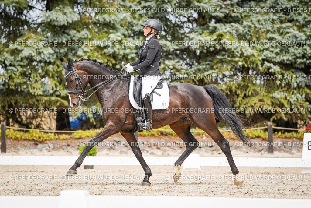 DSC05749 | Pferdegrafie