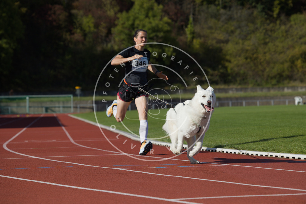 0L8A9410 | Hundefotografie, Tierfotograf, Pfotenfotografie, Fotoshooting Hund, Hunde Portrait, Hundesport, Hundeportraits, Heideshooting, Hunde, Sportfotograf, Hundefotograf, Turnierhundsport, THS,  - Realisiert mit Pictrs.com
