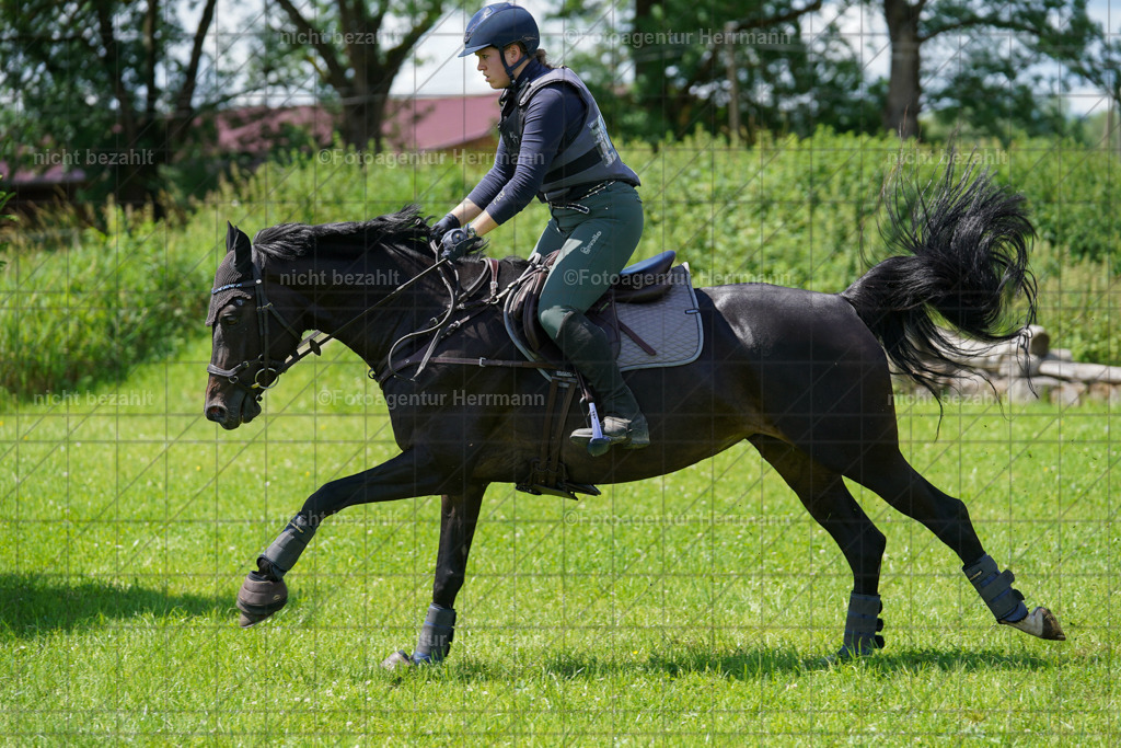 20240622-FAH06866 | Turnierfotografen Bayern, Reitsportbilder aus dem Geländekurs mit Felix Etzel auf dem Gut Waitzacker 2024