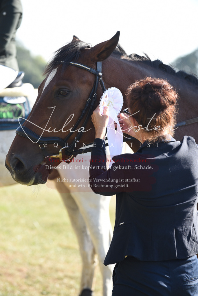 DSC_5453 | Pferde- und Turnierfotografie in Westsachsen. Pferdeportraits, Auftragszeichnungen und intuitive Kunst.