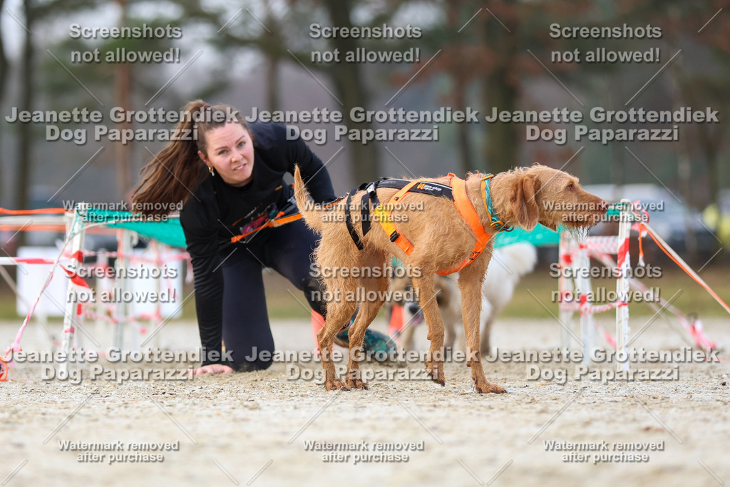 Dog Paparazzi - Strongdog North Mrz26-3685 | Dog Paparazzi Jeanette Grottendiek Fotografie & Videografie - Realisiert mit Pictrs.com