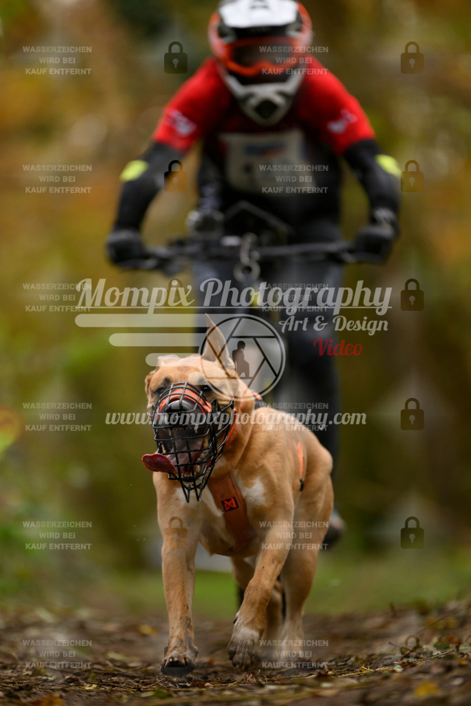 MompixPhotography_Bischwiller24_SA_VTT-82 | PayLife