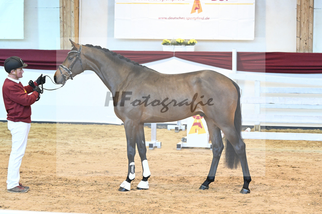 Kat-Nr. 60 v. Zinedream_Schreder_66221345 | hf-fotografie - Realisiert mit Pictrs.com