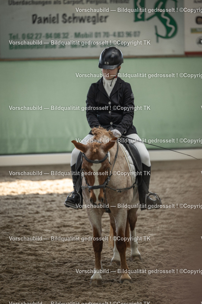 _D5A5866 | Emotionale Pferde- & People-Fotografie rund um Heidelberg, Leimen & Umgebung. Natürliche Fotos von Pferd, Mensch & Familie. Jetzt Termin sichern!