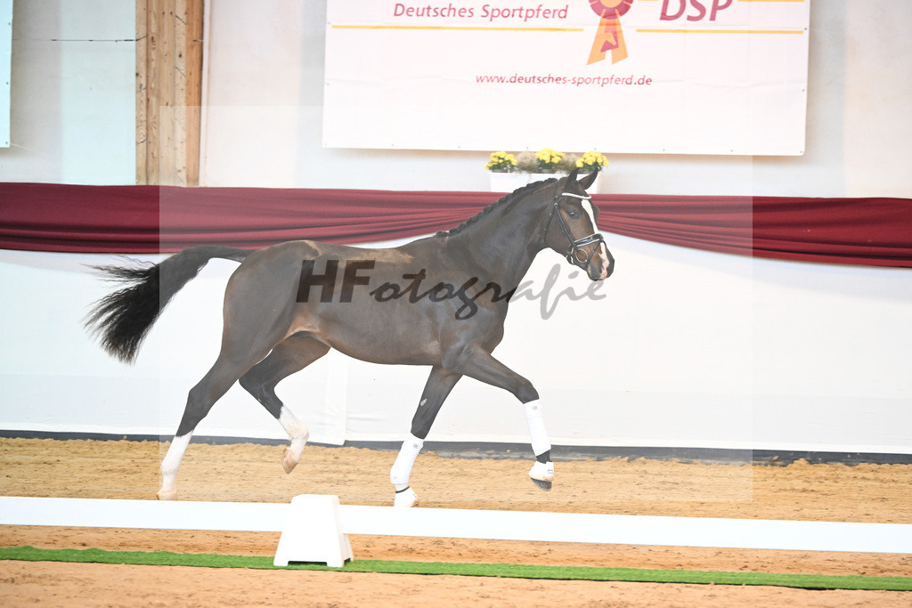 Kat-Nr. 31 v. Ferrantino_Lehner_66221816 | hf-fotografie - Realisiert mit Pictrs.com