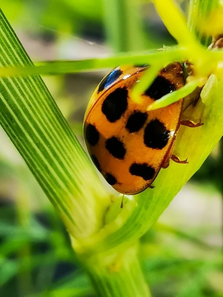 PSX_20221005_224322 | mtkfoto_ - Realisiert mit Pictrs.com