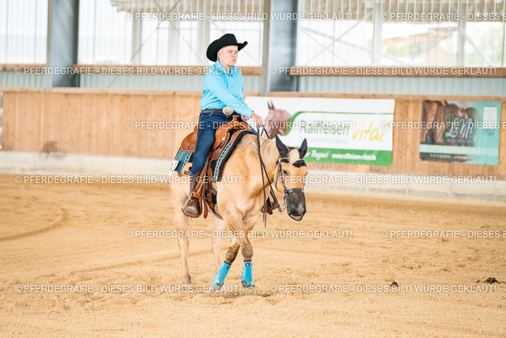 DSC02240 | Pferdegrafie