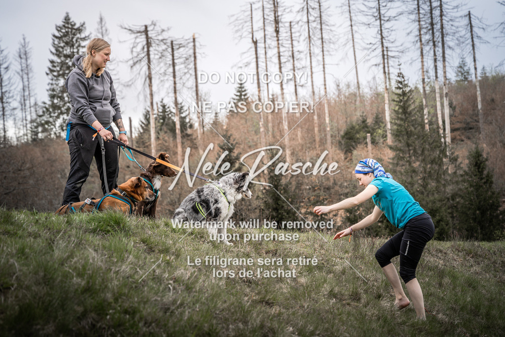 NR__2166 | nelerasche
