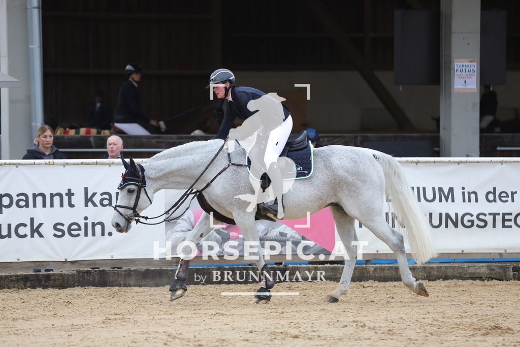 0P6A6197 | Willkommen bei Brunnmayr - Design & Fotografie – Ihrem Spezialisten für Reitturniere und Pferdeveranstaltungen in Oberösterreich, Salzburg und Bayern! Seit über 17 Jahren sind wir leidenschaftlich dabei.