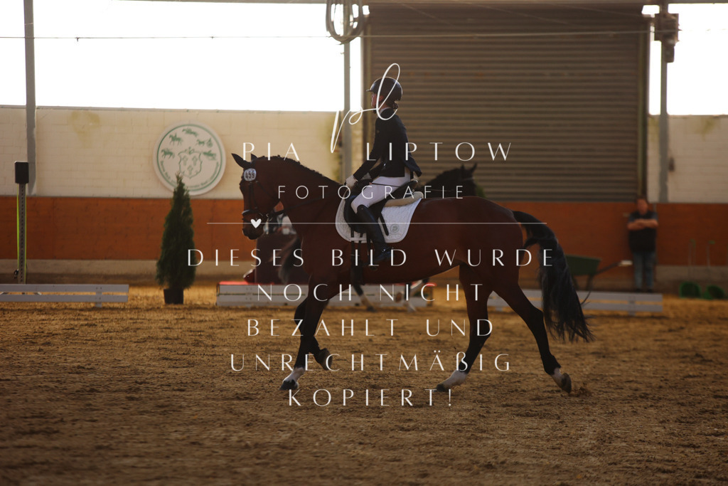 IMGT6185 | pl-fotografie