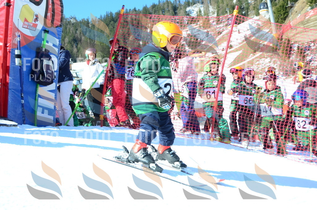 C4863 | holidayphoto