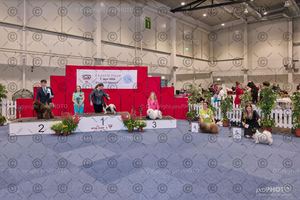 202406_ÖKV-IHA-Tulln24_NZ9_7884 | proPHOTO - Realisiert mit Pictrs.com