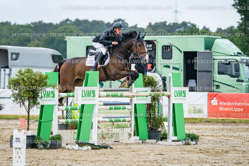 DSC03627 | Pferdegrafie