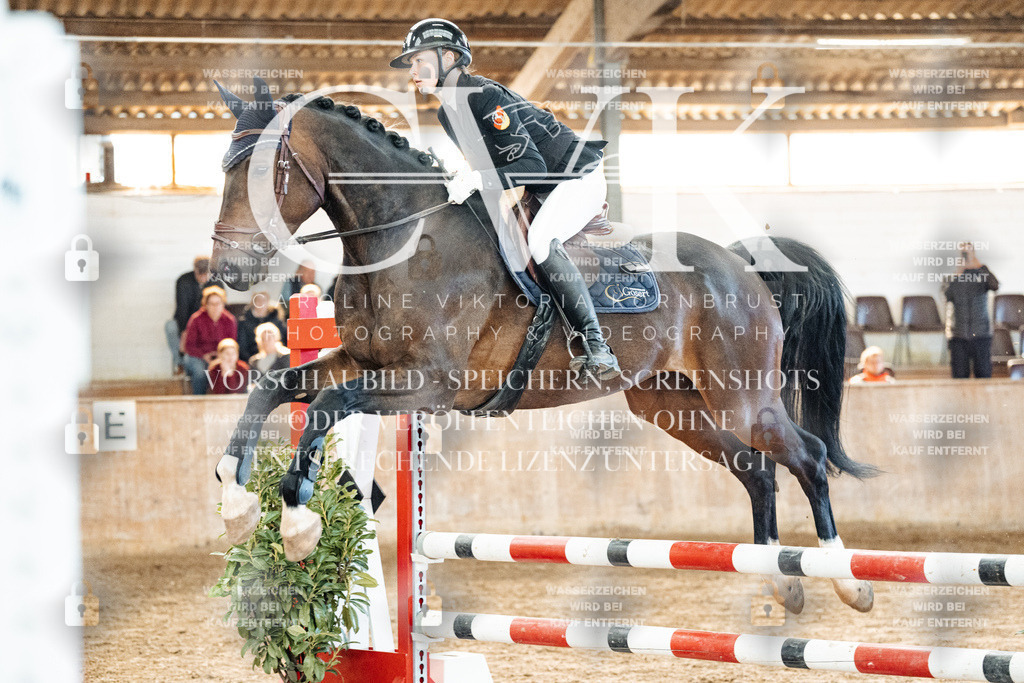 CK904577 | Turnierfotografie Pferdefotografie Trier Rheinland-Pfalz Pferdesport Reitsport Tierfotografie Sportfotografie Pferdevideo Pferdevideografie Equestrianvideography equestrianphotography  - Realisiert mit Pictrs.com