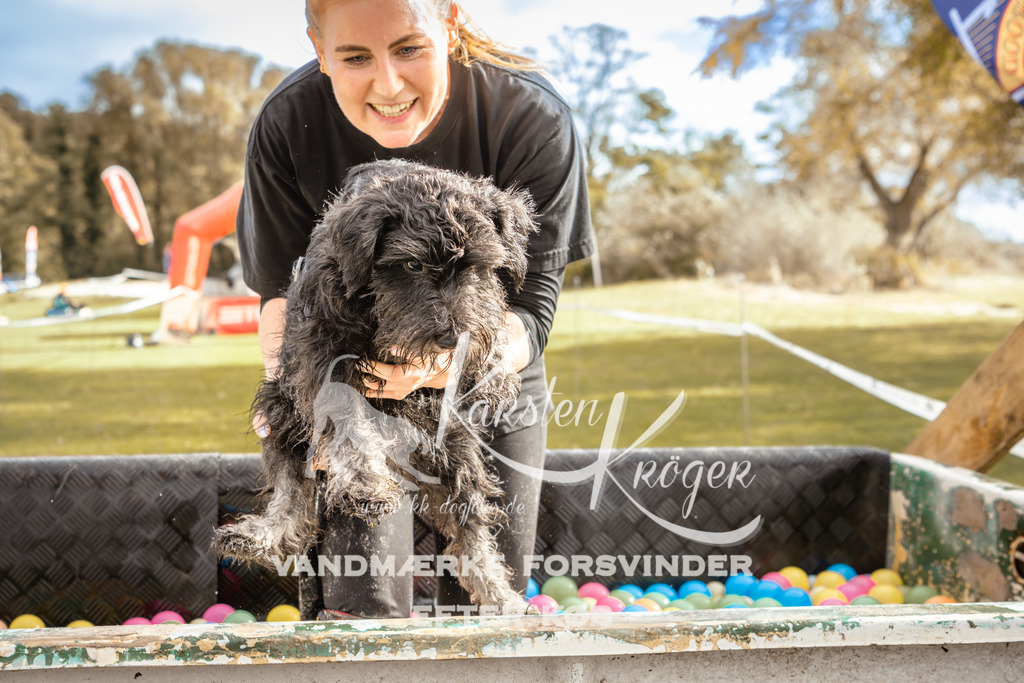 1346_ZZ92167-2 | kk-dogfotos