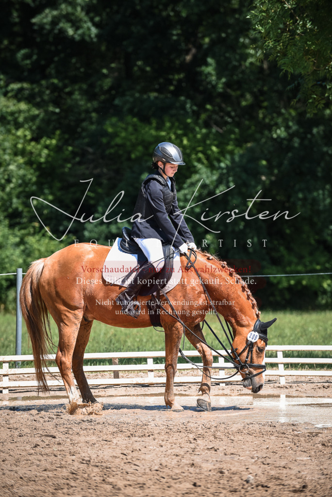DSC_3239 | Pferde- und Turnierfotografie in Westsachsen. Pferdeportraits, Auftragszeichnungen und intuitive Kunst.