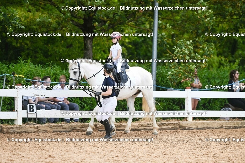 20230716_11_Führzügel-WB_0151 | equistock