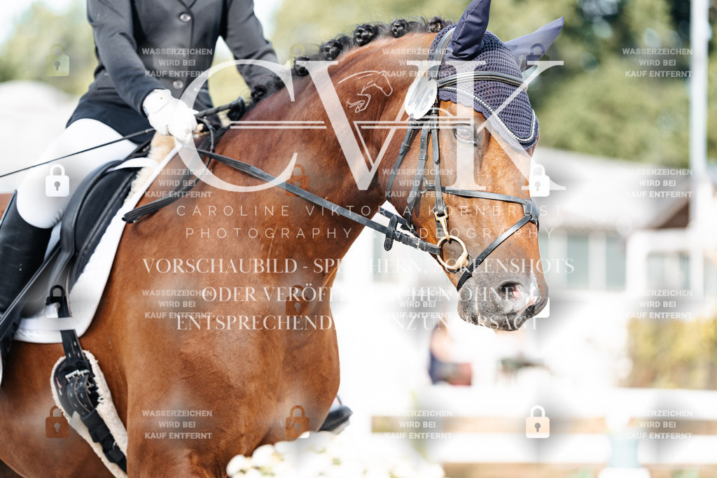 CK904079 | Turnierfotografie Pferdefotografie Trier Rheinland-Pfalz Pferdesport Reitsport Tierfotografie Sportfotografie Pferdevideo Pferdevideografie Equestrianvideography equestrianphotography  - Realisiert mit Pictrs.com