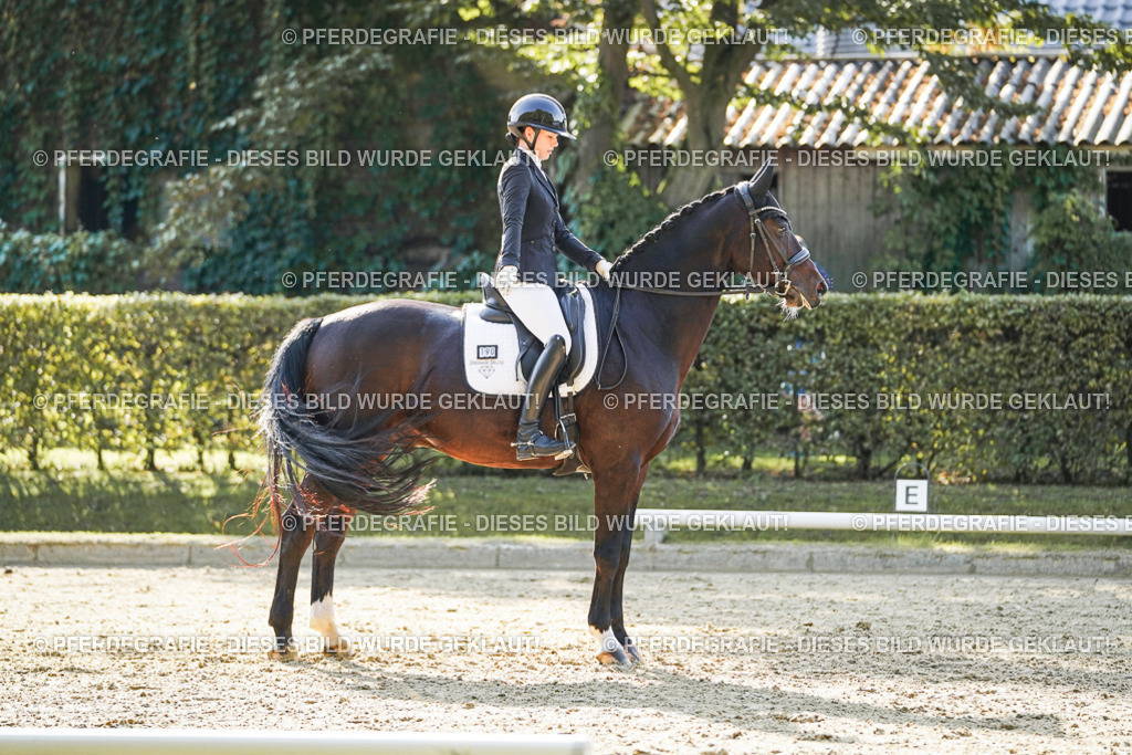 DSC06288 | Pferdegrafie