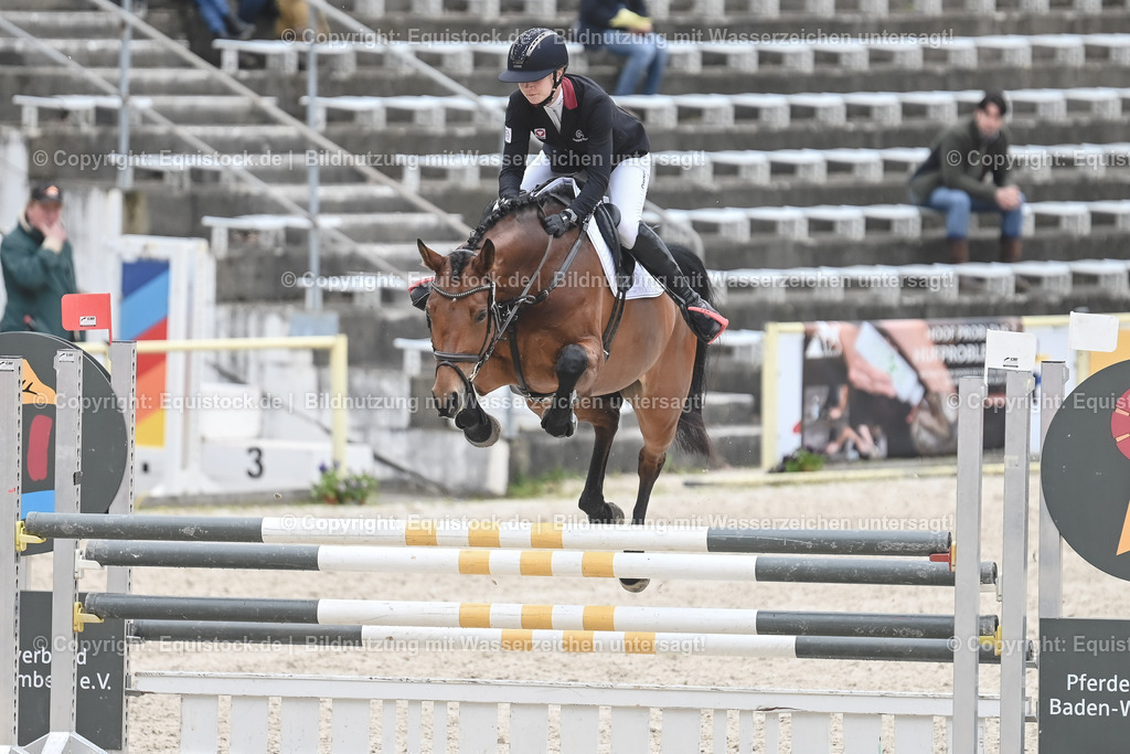 20230514_CCI2_Section1_Springen_0008 | equistock