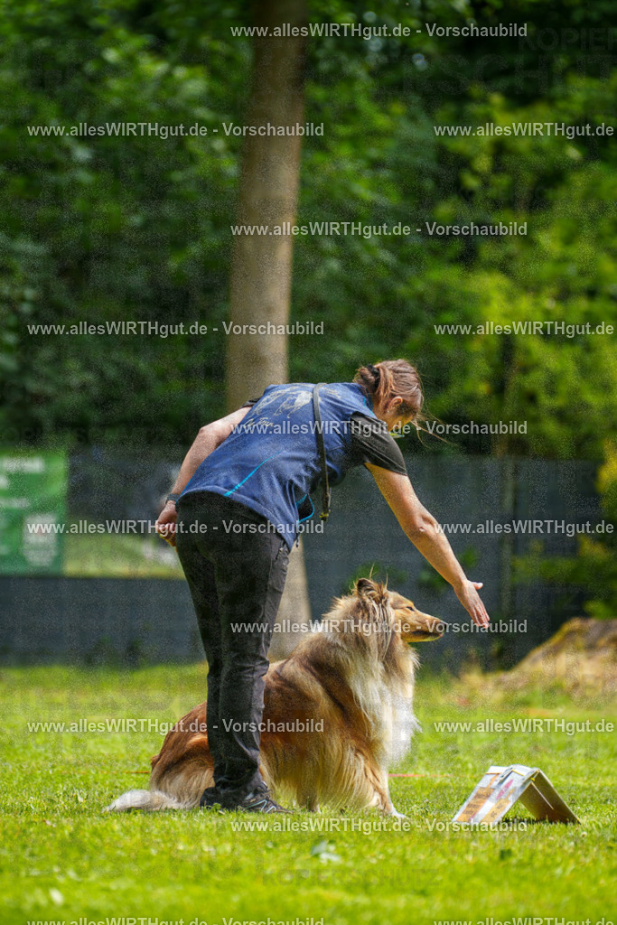 @allesWIRTHgut_Tierfotografie - www.allesWIRTHgut.de - 095532-7R507843 | Professionelle Tierfotografie in Mönchengladbach von Daniel Wirth (allesWIRTHgut). Liebevolle & natürliche Bilder von Hunden & Katzen für unvergessliche Erinnerungen.