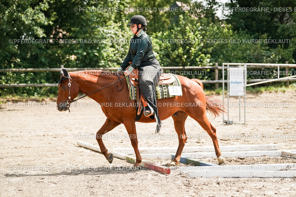 DSC06473 | Pferdegrafie