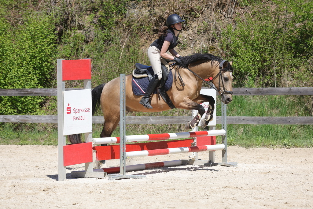 0P6A8827 | Willkommen bei Brunnmayr - Design & Fotografie – Ihrem Spezialisten für Reitturniere und Pferdeveranstaltungen in Oberösterreich, Salzburg und Bayern! Seit über 17 Jahren sind wir leidenschaftlich dabei.