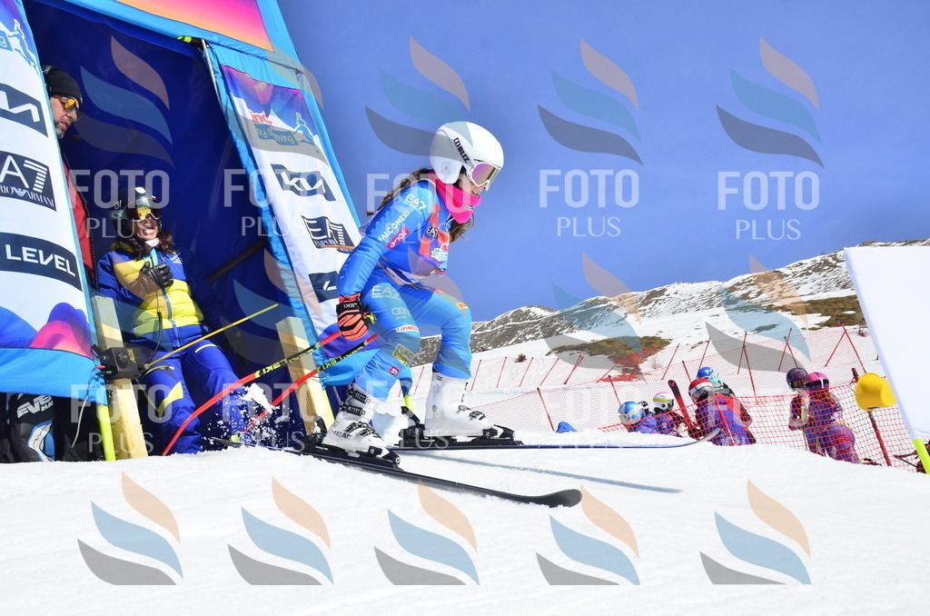 _ELE0193 | holidayphoto