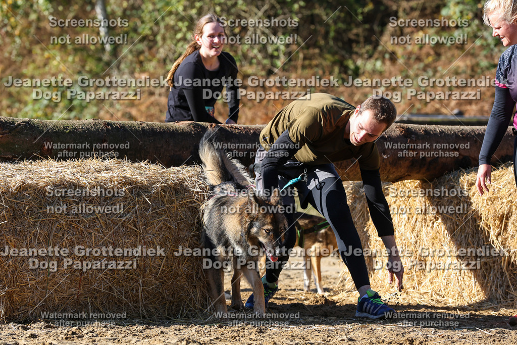 Dog Paparazzi - Strongdog 10-25-2369 | Dog Paparazzi Jeanette Grottendiek Fotografie & Videografie - Realisiert mit Pictrs.com