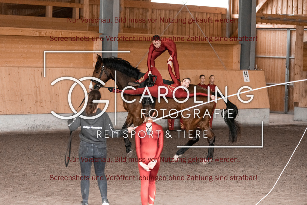 DSC_2114 | Turnierfotografin Carolin Gieschke,Reitsport Turnierfotografie Carolin G Fotografie | Turnierfotos aus Kirchheim/Teck, Esslingen, Stuttgart und dem Bodenseekreis