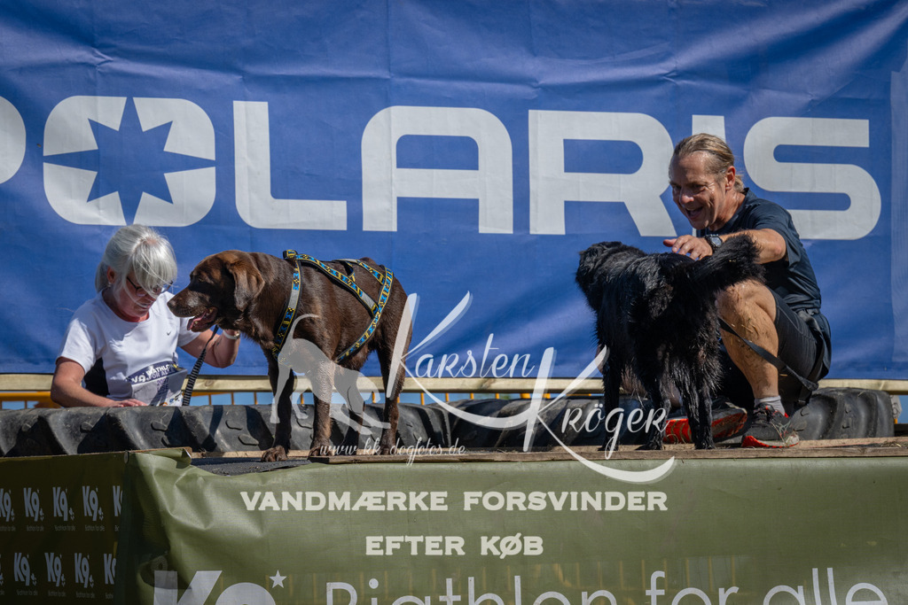 1133_ZZ92082 | kk-dogfotos