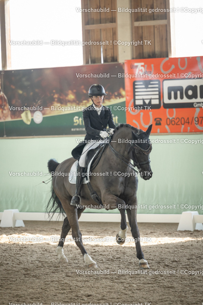 _D5A2185 | Emotionale Pferde- & People-Fotografie rund um Heidelberg, Leimen & Umgebung. Natürliche Fotos von Pferd, Mensch & Familie. Jetzt Termin sichern!