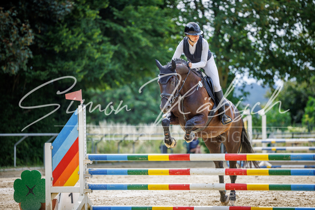 20260705-_3LI4391 | Tierfotografie Pferde, Hunde, Katzen, Haustiere.
Turnierfotografie Reitturniere, Reiten, Springreiten, Dressur in Hanau, dem Main-Kinzig-Kreis und dem Rhein-Main- Gebiet um Frankfurt