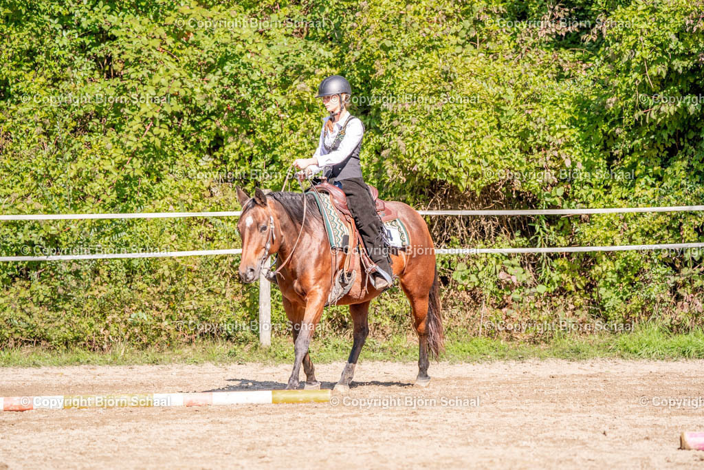 SAL02751 | BS-foto